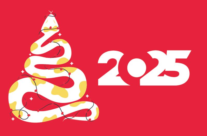 С Новым 2025 годом и Рождеством! 